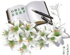 《心田上的百合花开》经典语录文案和名句摘抄