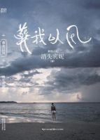 《葬我以风》经典语录文案和名句摘抄