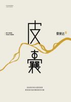 《皮囊》经典语录文案和名句摘抄