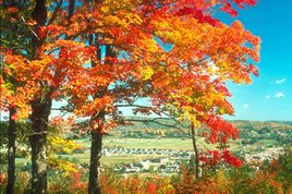 《我的四季》经典语录文案和名句摘抄