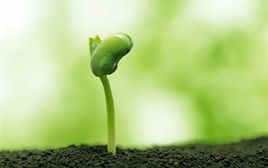 《谈生命》经典语录文案和名句摘抄