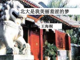 《北大是我美丽羞涩的梦》经典语录文案和名句摘抄