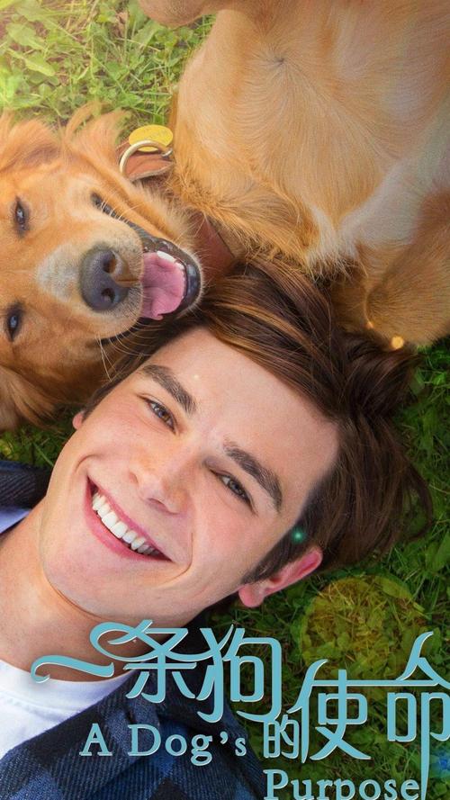 《一条狗的使命》电影经典台词文案