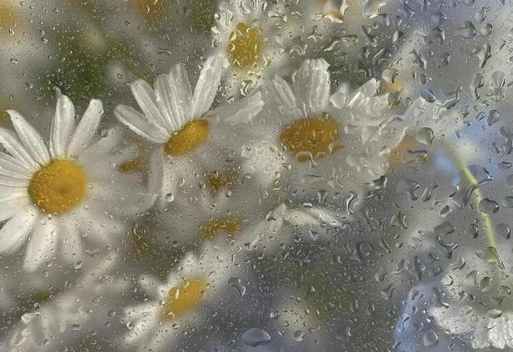 关于下雨天的朋友圈文案