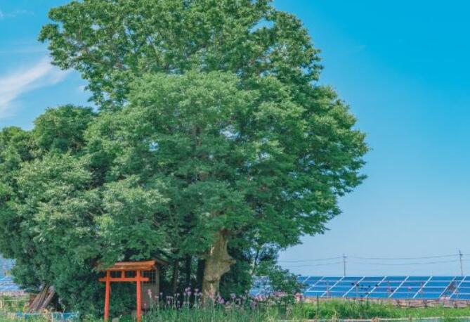 情人节活动创意文案