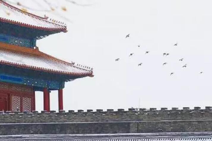 解决问题快速文案