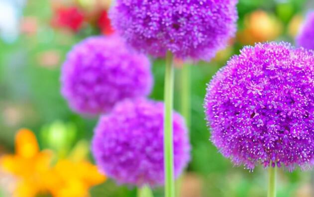 比较精彩的文案