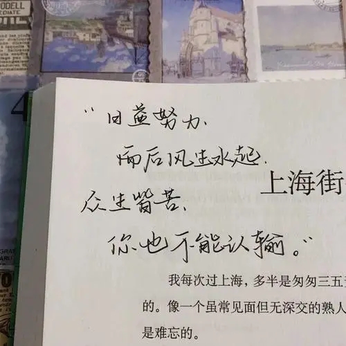 无关爱情的高级的文案长句