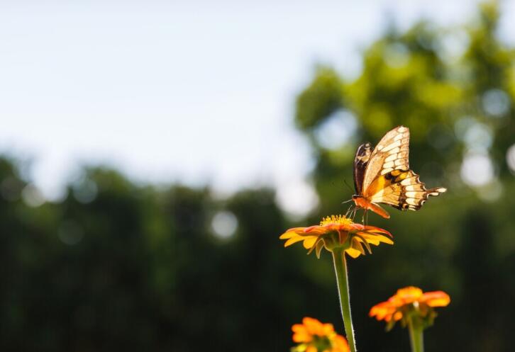 积极向上的一句话文案