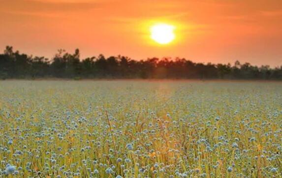 形容文案写得好的四字词语