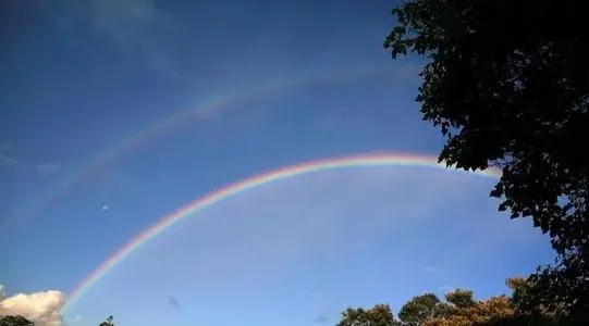 出彩虹的伤感文案