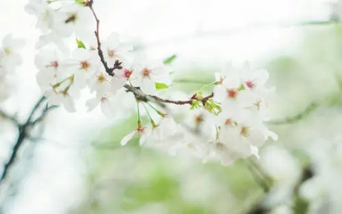 高大上的朋友圈文案