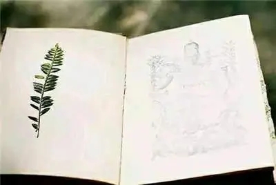 亲人去世的简短文案