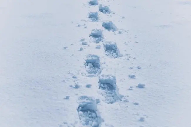 适合大雪的文案