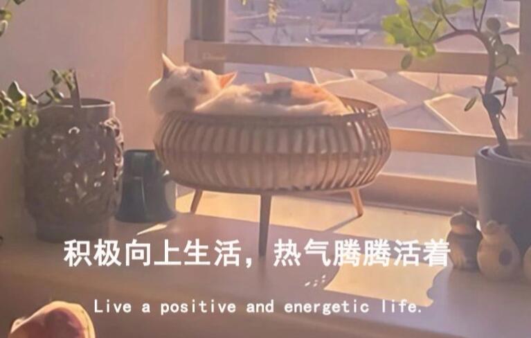 两人可以合作的配音文案