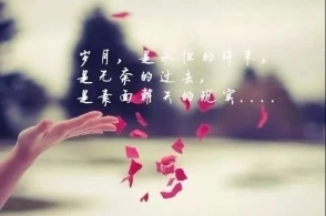 人生感悟的句子文案