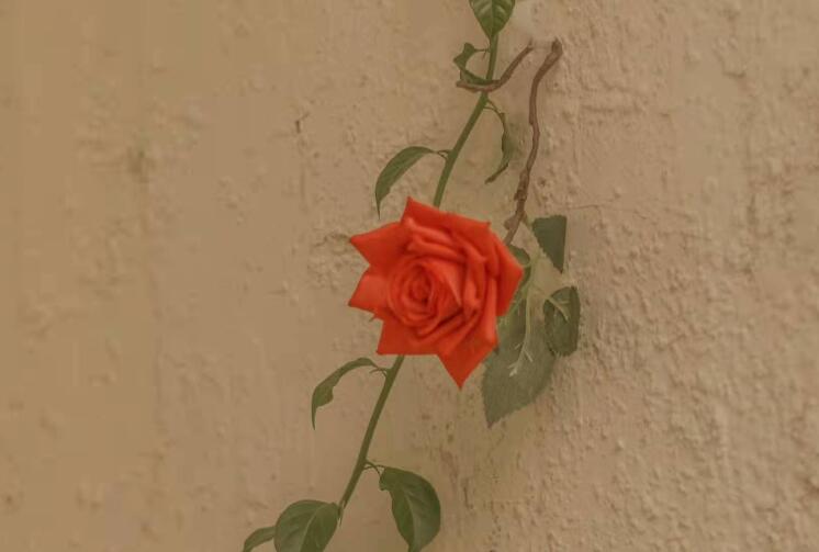 精美正能量文案