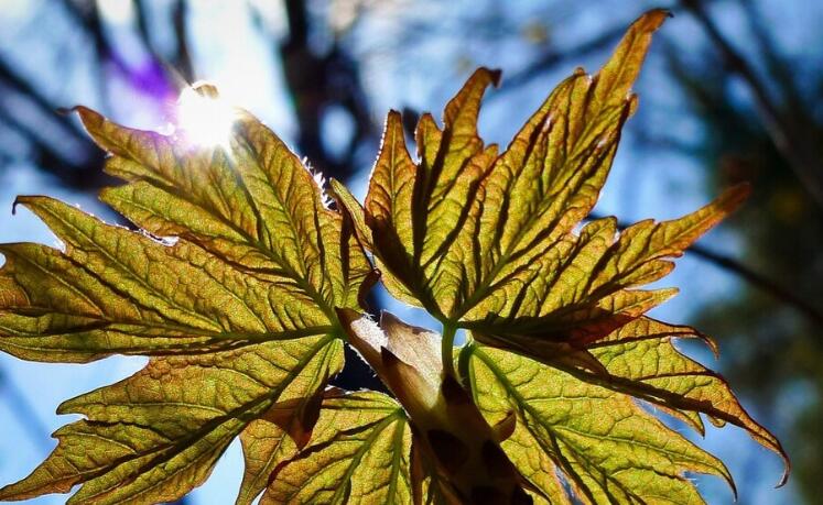 办公室朋友圈励志文案