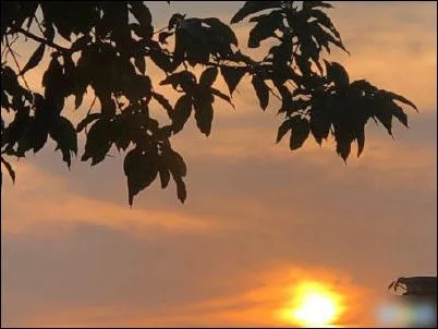 调侃日出文化文案