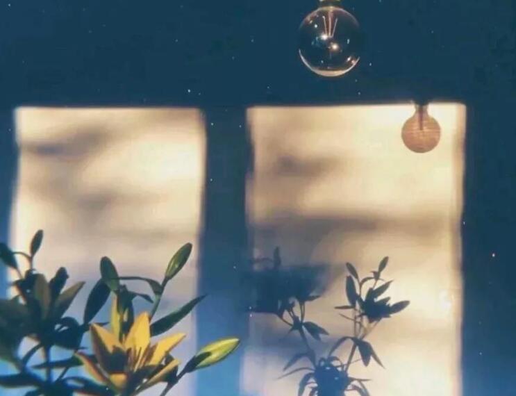 任性自由的文案