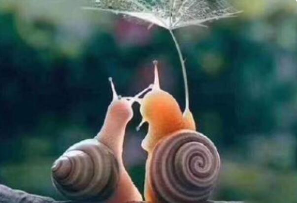 抖音励志文案致朋友