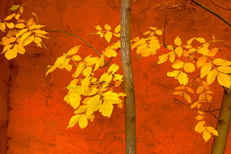 好文案一句话就够了