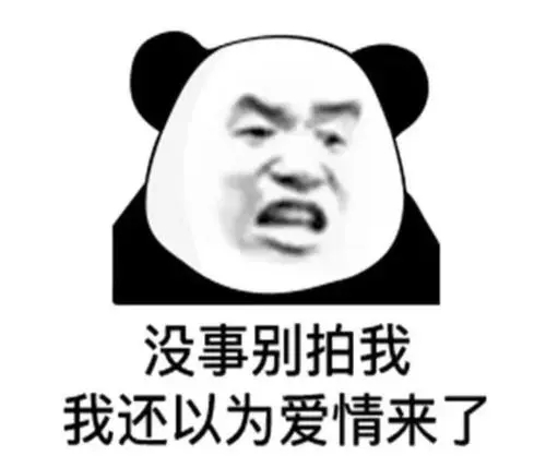 微信拍一拍搞笑文案8个字