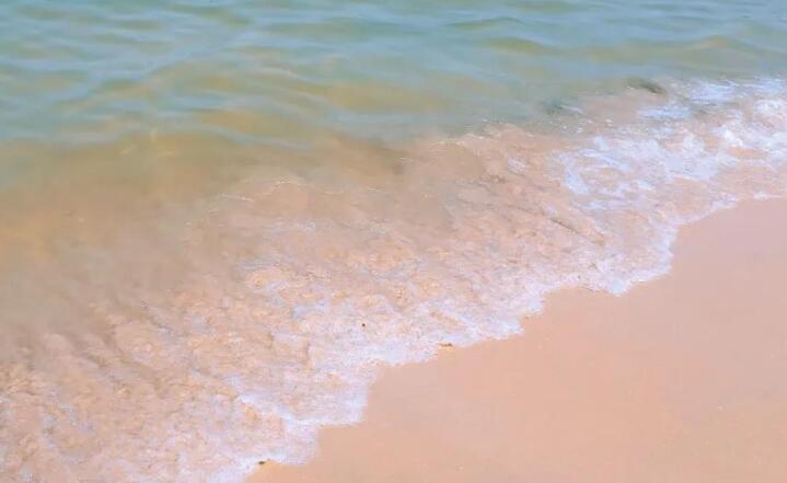 夏天拍风景的文案