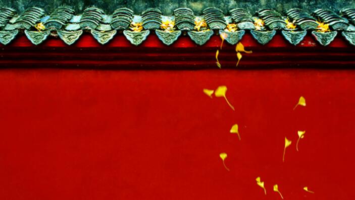 优美文案加图片