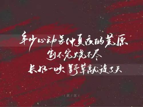 一些小说里的文案