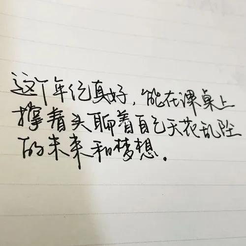 17岁是成年后的最后一年文案