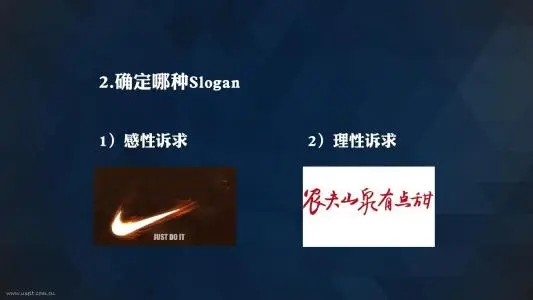 理性诉求和感性诉求结合的广告文案