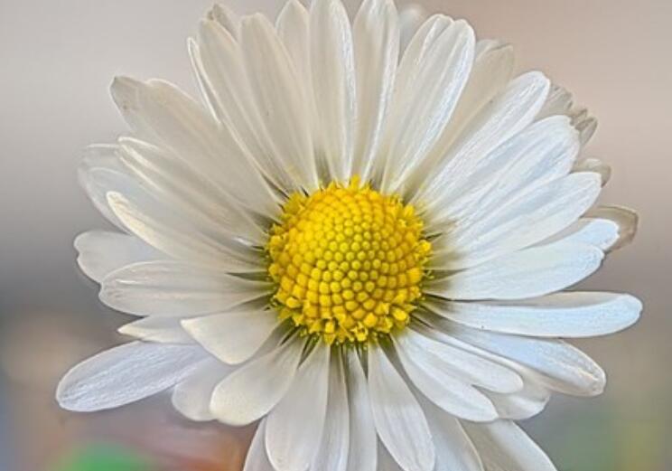 抖音热门涨粉文案