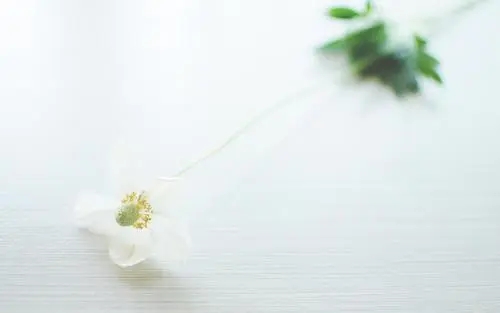 五个字霸气文案