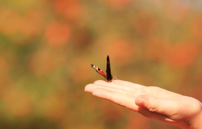 文案100字励志短句