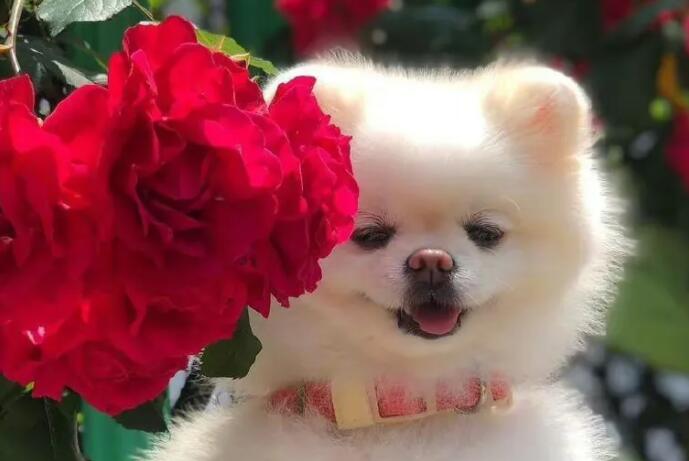 这些文案让你的朋友圈可爱到冒泡