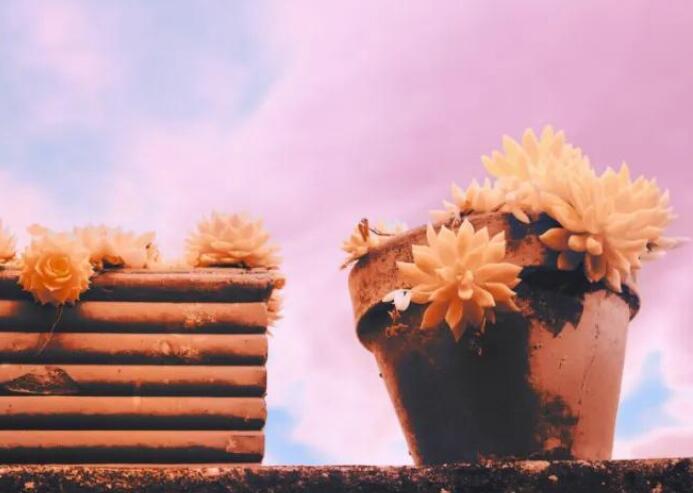 慢慢来图片文案