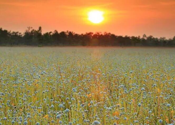 认识很久的文案
