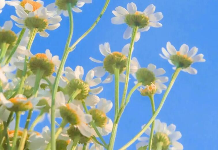 朋友圈暴富文案