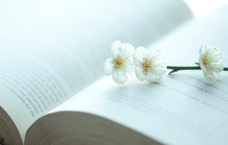 考教资朋友圈文案