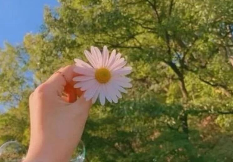 抖音正能量文案短句