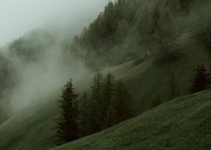 大山里的风景文案