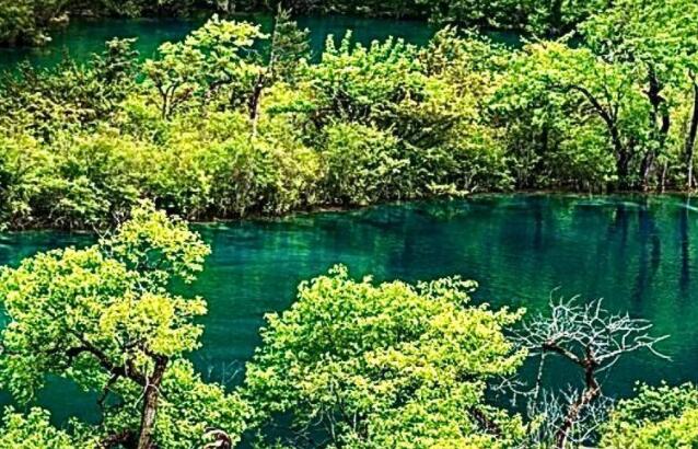 风景的抖音文案