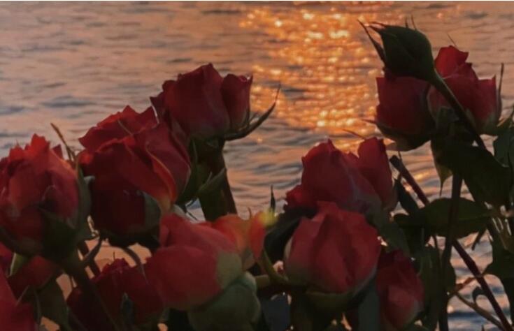 自我提升的文案