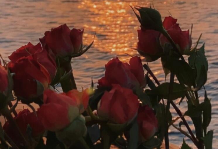 不断努力的文案