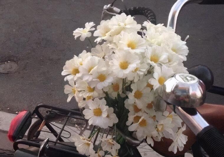 春夏秋冬宣传文案