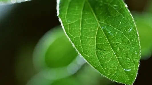 文艺的酒店文案