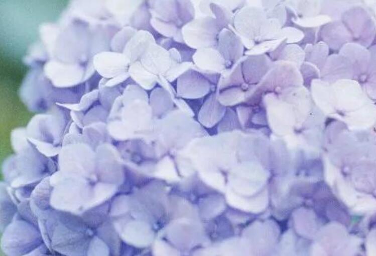 祝人身体健康的文案