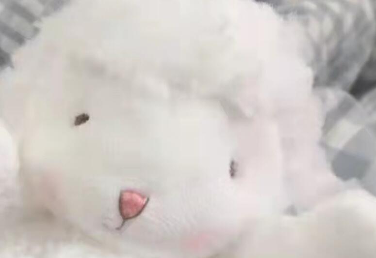 温柔的句子文案长句