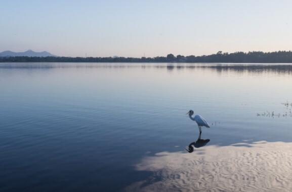 比较霸气的文案
